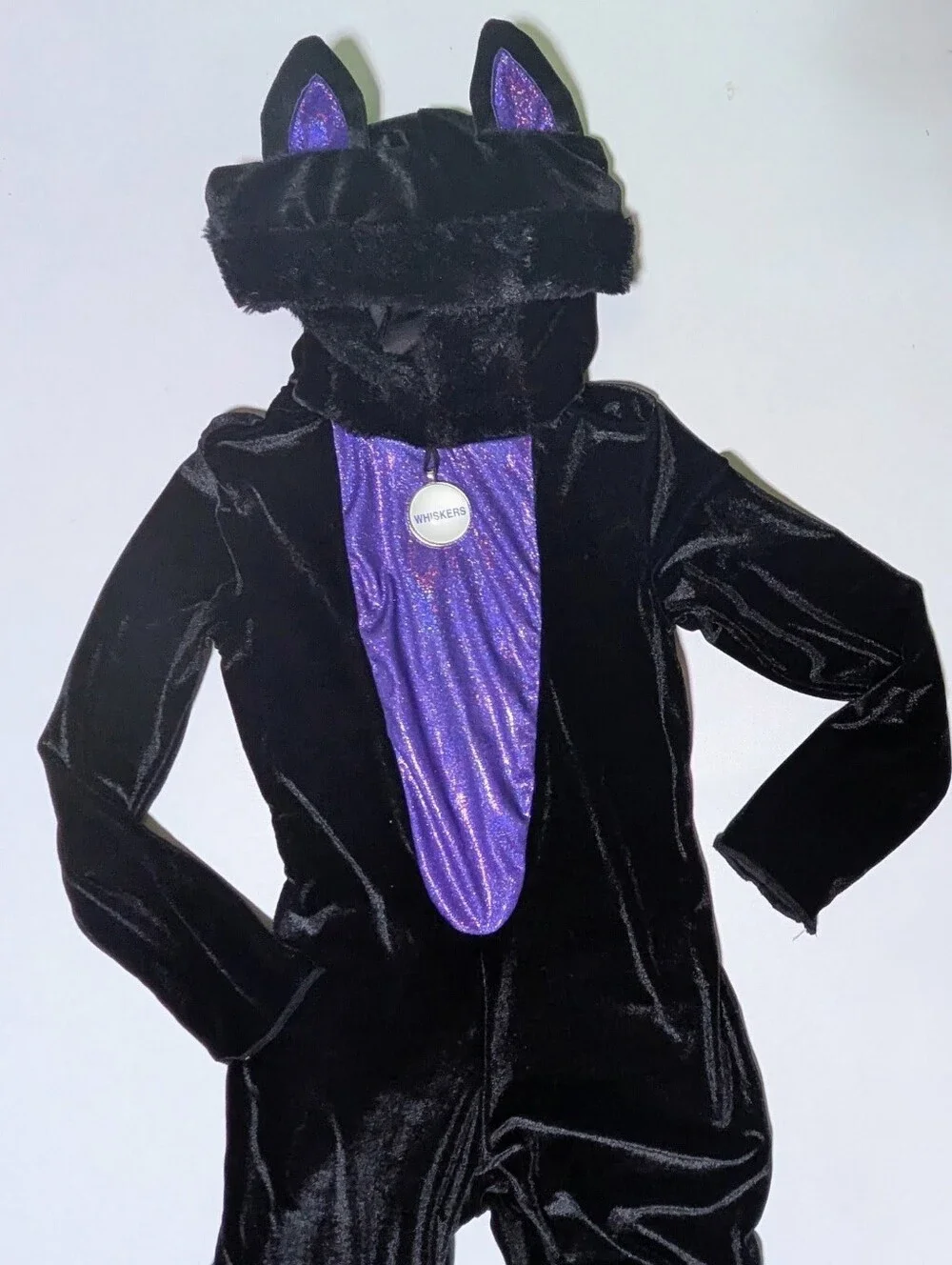 Spirit car costume